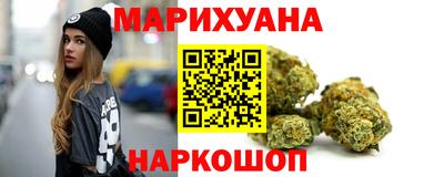 крисы Жуковский
